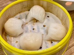 -永記粤菜·五指毛桃花雕鸡煲(九亭店)