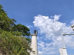 -羚羊峡古栈道森林公园