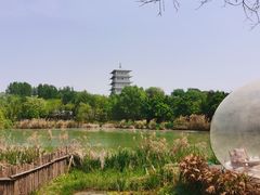 -Supine Bistro溯泮餐厅