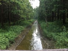 -黄海国家森林公园