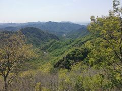 -大岭沟猕猴桃谷风景区