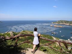 -枸杞岛