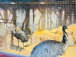 -酷嗒动物文化乐园(cutezoo西溪乐天城店)