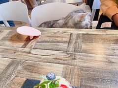 -小时光咖啡馆(北锣鼓巷店)