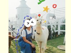 -Blue Concept Cafe&Farm·關於藍