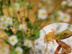 -暹罗酒肆泰餐厅酒吧