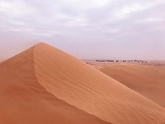-迪拜沙漠冲沙