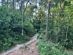 -青龙山国家森林公园