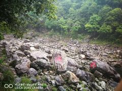 -燕子河大峡谷天坑仙境