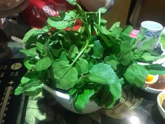 -丫丫汤膳打边炉(宏府408坊店)