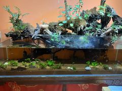 -域SPA·足疗·按摩·养生(静安寺店)