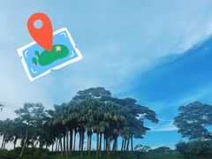 -深圳湾公园(南山区)