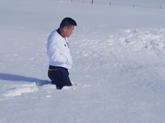 -煲来饱去冷水鱼