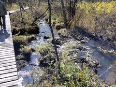 -五营红松林海景区