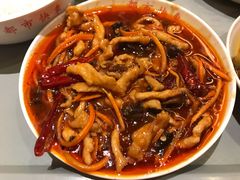 鱼香肉丝-都市快车(南五马路店)