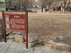 -莲湖公园