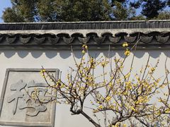 -无锡梅园公园