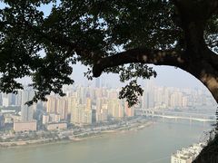 -鹅岭公园瞰胜楼