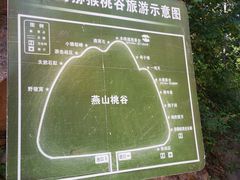 -大岭沟猕猴桃谷风景区