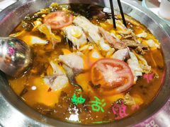 -蛙一刀·麻椒鱼火锅(金仙桥店)