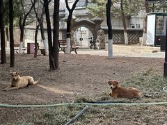 -云岗森林公园