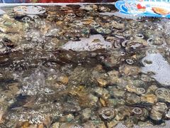 -亚马逊海鲜自助(梅溪湖步步高店)