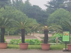 -国家植物园南园