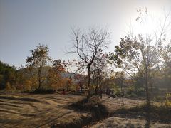 -塔川景区