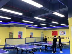 -乐旋乒乓球(深圳南油店)