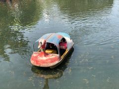 -桂湖森林公园