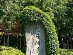 -十八棵（老龙井）御茶园(老龙井店)