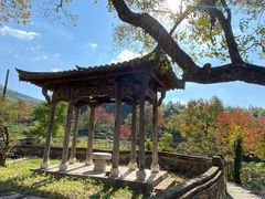 -塔川景区