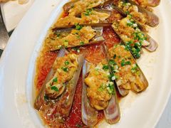 蛏子-沪碟·精菜坊(闵行店)