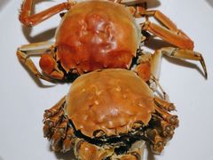 -连鹭海鲜·海肠捞饭·海胆饭(星海店)