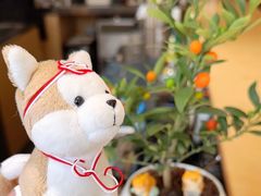 -Onirii Coffee(长乐路店)