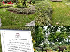 -上海醉白池公园