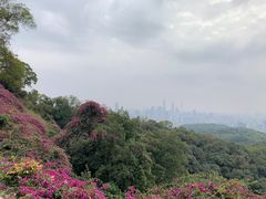 -广州市白云山风景名胜区