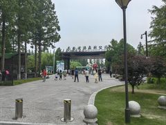 -黄海国家森林公园