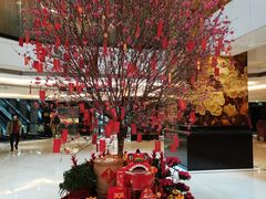 -稻香酒家·34年老字号·港式粤菜(侨光店)