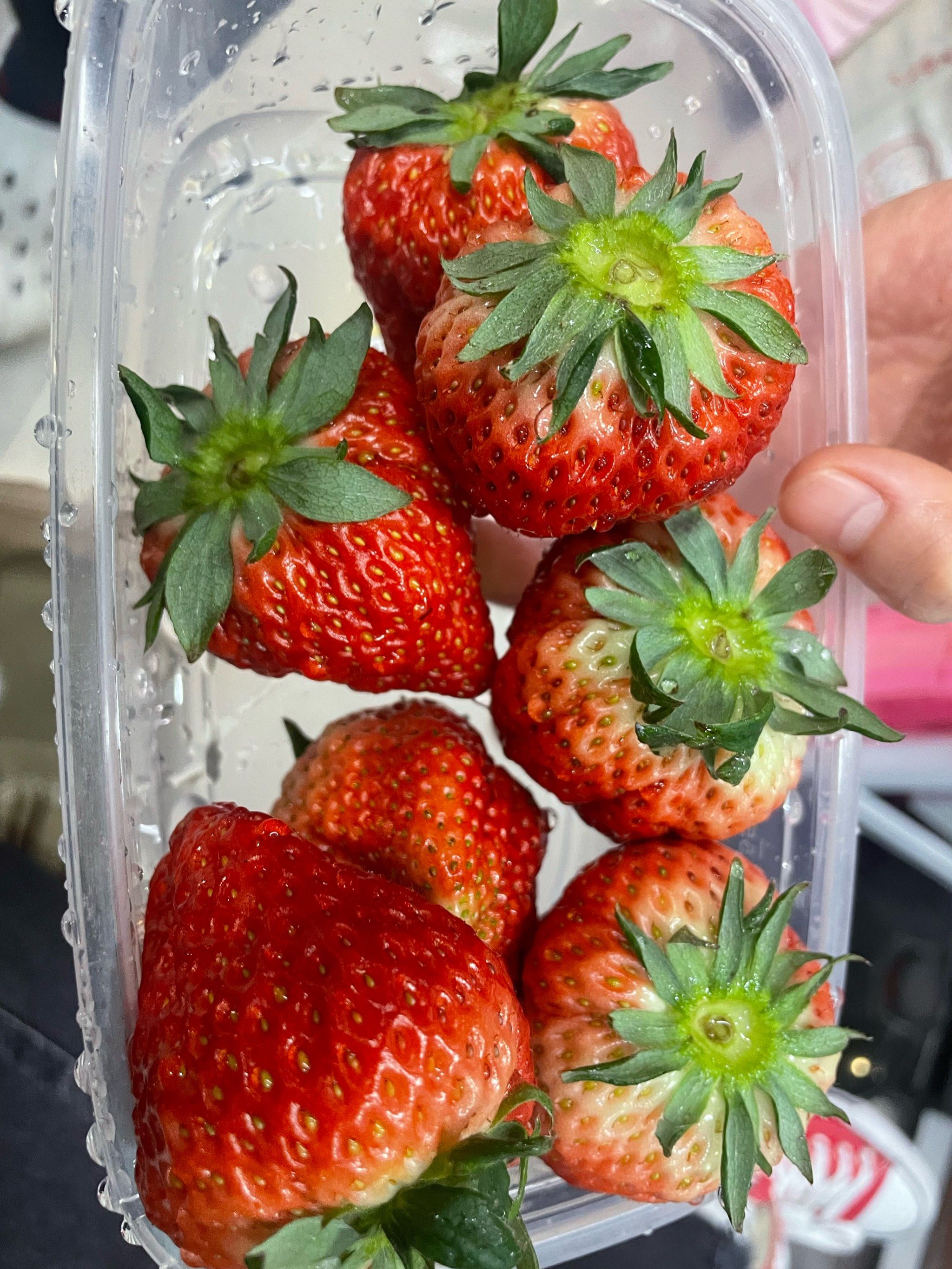 丹东必吃牛奶草莓