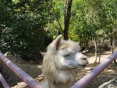 -汕尾铜鼎山旅游区