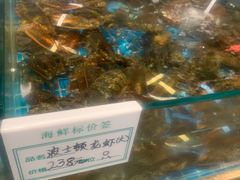 -渡海小渔村.老辈日照菜
