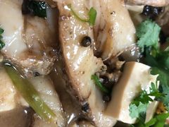 家常狗鱼-煲来饱去冷水鱼