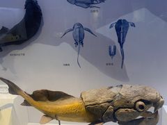 -重庆自然博物馆(新馆)