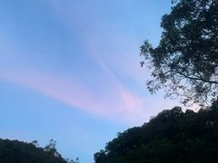 -火炉山森林公园