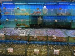 水产区-叶姐海鲜(棋子湾店)