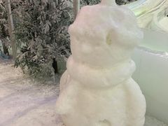 -世界之窗阿尔卑斯冰雪世界