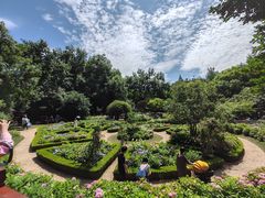 -上海共青森林公园