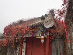 -北京西山国家森林公园