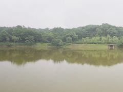 -宜兴龙背山森林公园